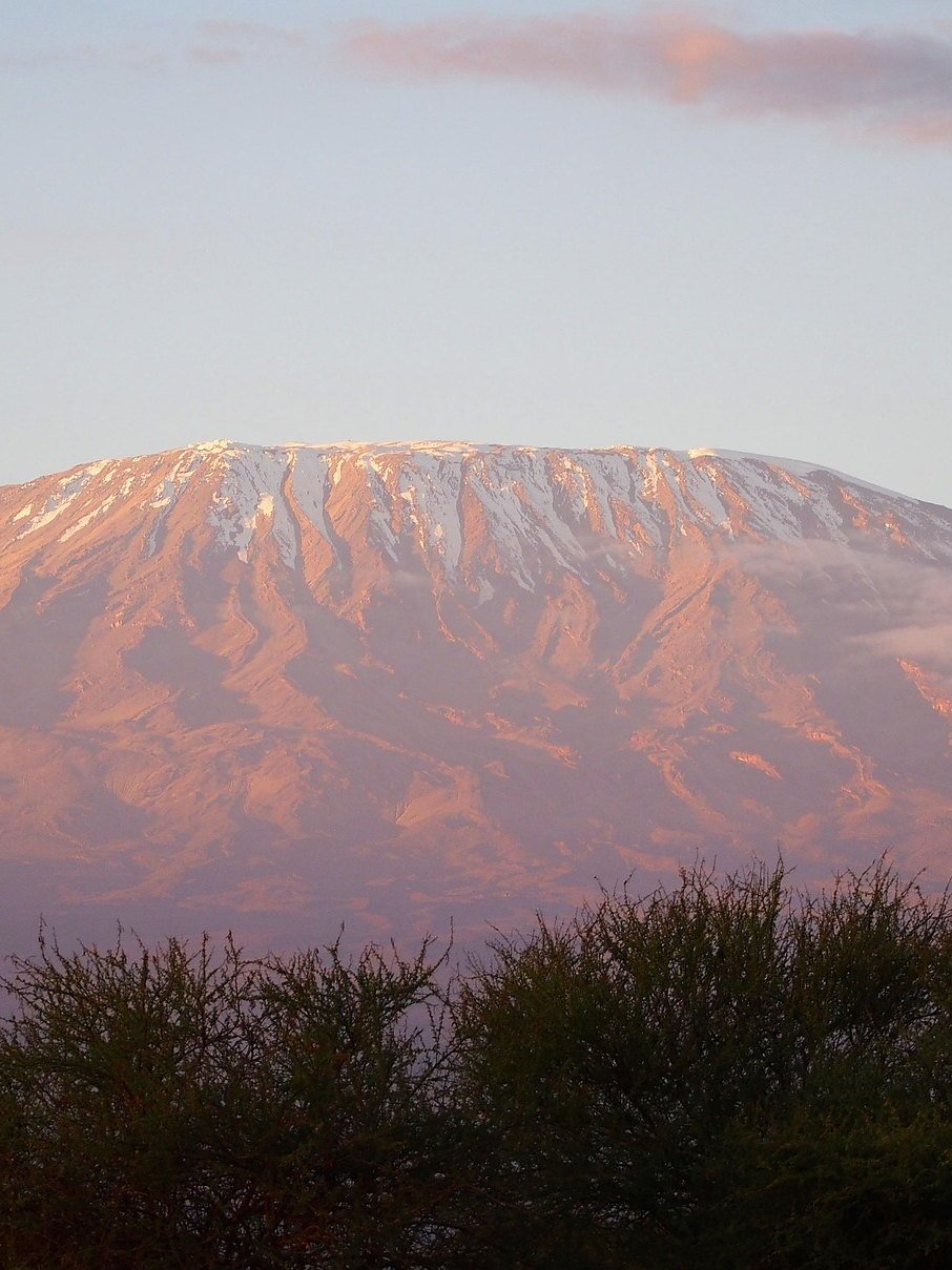 Mount Kilimanjaro at dawn with alpenglow on its snow cap