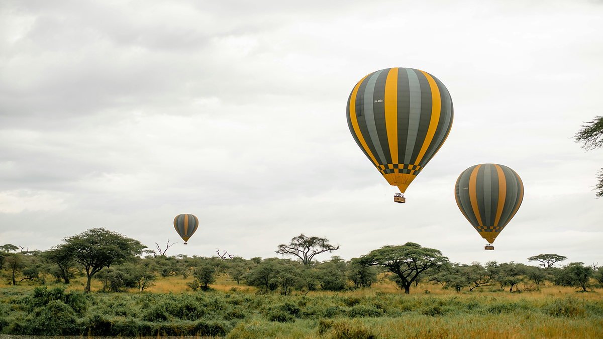 Three hot air balloons drifting over the green Serengeti plains