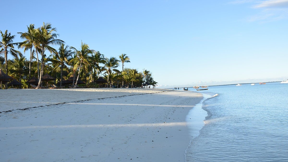 Palm trees leaning over a quiet white sand beach on Zanzibar