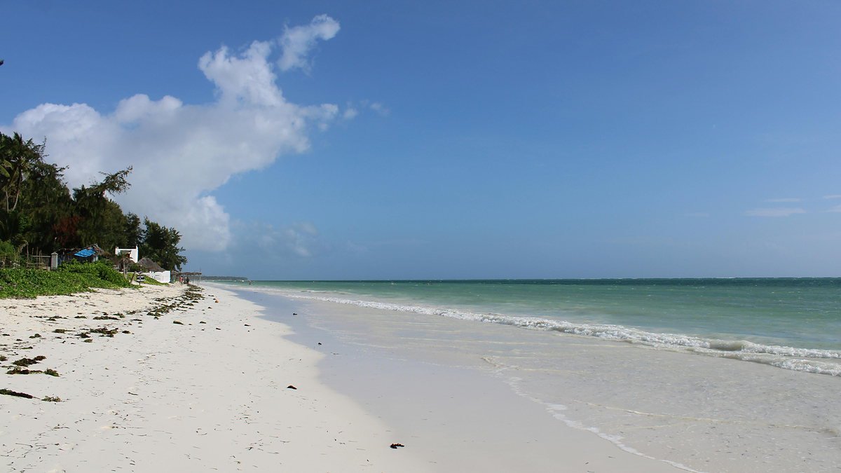 Quiet white sand beach on the Zanzibar coast